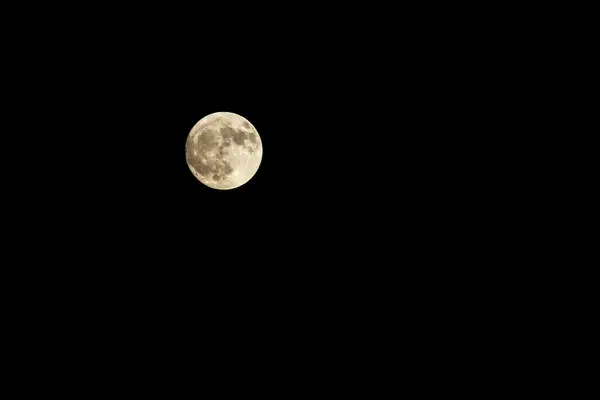 Glowing Super Full Moon Dark Sky Royalty Free Stock Images