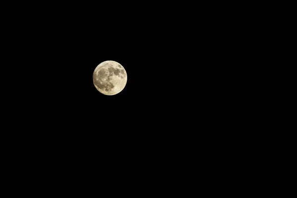 Glowing Super Full Moon Dark Sky Stock Image