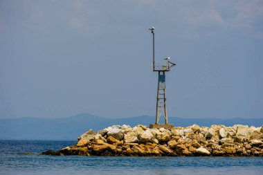 Denizdeki iskelede asılı duran deniz kuşları