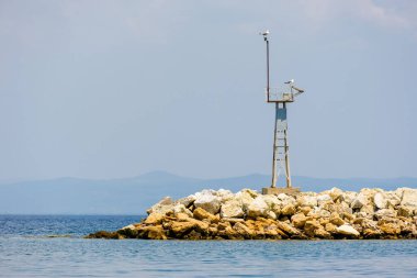 Denizdeki iskelede asılı duran deniz kuşları