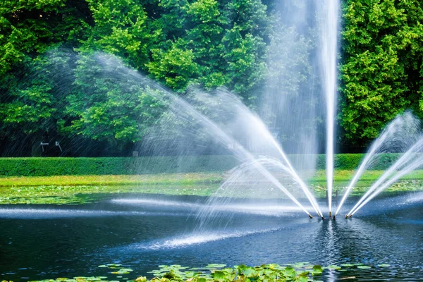 Parktaki gölde güzel bir çeşme. Akıp giden nehirler