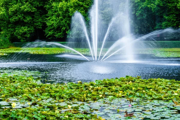 Parktaki gölde güzel bir çeşme. Akıp giden nehirler