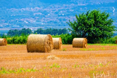 Hasat mevsimi saman yığınları ve kırsal alanlarda