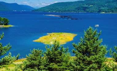Bulgaristan 'ın Rodop dağlarındaki Dospat barajının yaz manzarası