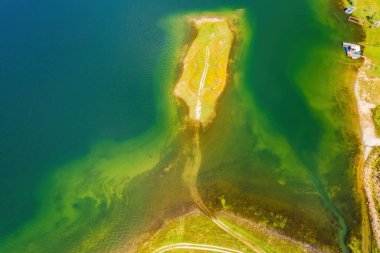 Bulgaristan 'ın Rodop dağlarındaki Dospat barajının yaz manzarası