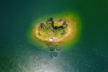 Bulgaristan 'ın Rodop dağlarındaki Dospat barajının yaz manzarası