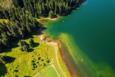Bulgaristan 'ın Rodop dağlarındaki Dospat barajının yaz manzarası