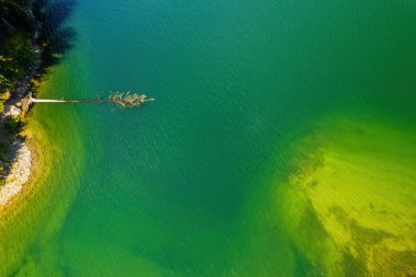 Bulgaristan 'ın Rodop dağlarındaki Dospat barajının yaz manzarası