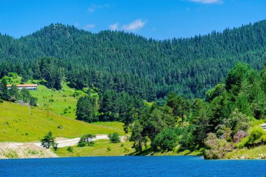Bulgaristan 'ın Rodop dağlarındaki Dospat barajının yaz manzarası
