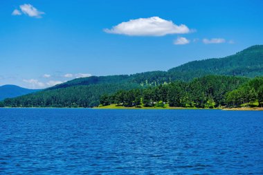 Bulgaristan 'ın Rodop dağlarındaki Dospat barajının yaz manzarası