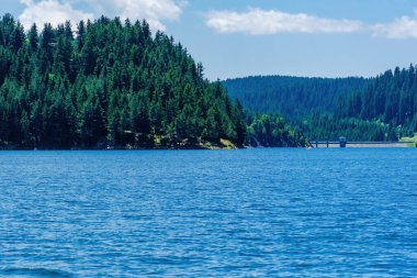 Bulgaristan 'ın Rodop dağlarındaki Dospat barajının yaz manzarası