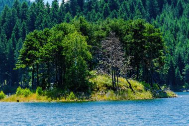 Bulgaristan 'ın Rodop dağlarındaki Dospat barajının yaz manzarası