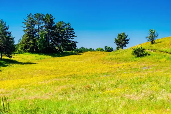 Summer Landscape Green Field Blue Sky Clouds — Stock Photo, Image