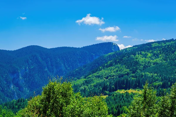 Летний Пейзаж Зеленого Поля Горами Голубым Небом Облаками — стоковое фото