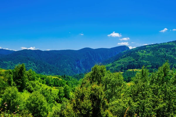 Летний Пейзаж Зеленого Поля Горами Голубым Небом Облаками — стоковое фото