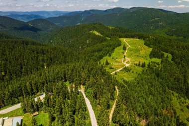 Hava manzaralı, havadan çekilmiş güzel doğal yeşil orman arazisi.