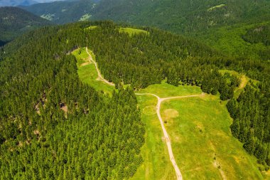 Hava manzaralı, havadan çekilmiş güzel doğal yeşil orman arazisi.
