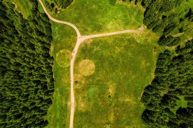 Hava manzaralı, havadan çekilmiş güzel doğal yeşil orman arazisi.