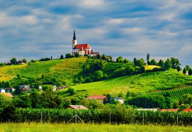 Bulutlu gökyüzünde kilise ve üzüm bağının manzarası