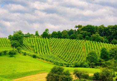 Dağların tepeleri, bulutlar, sisli, doğa, manzara