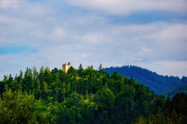 Ormanlı bir tepedeki eski yıkılmış kale kulesi