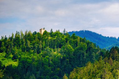 Ormanlı bir tepedeki eski yıkılmış kale kulesi
