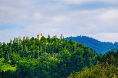 Ormanlı bir tepedeki eski yıkılmış kale kulesi