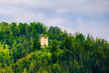 Ormanlı bir tepedeki eski yıkılmış kale kulesi