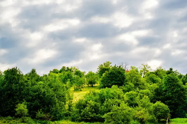 Dağların tepeleri, bulutlar, sisli, doğa, manzara