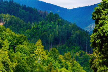 Dağların tepeleri, bulutlar, sisli, doğa, manzara