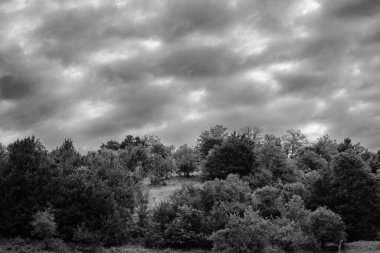 Fırtınalı bulutlarda Alpler Dağları, siyah beyaz