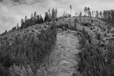 Fırtınalı bulutlarda Alpler Dağları, siyah beyaz