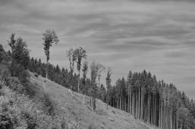 Fırtınalı bulutlarda Alpler Dağları, siyah beyaz