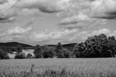 Gökyüzünde ağaçlar ve bulutlar olan kırsaldan manzaralı bir yaz manzarası