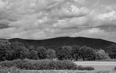 Gökyüzünde ağaçlar ve bulutlar olan kırsaldan manzaralı bir yaz manzarası