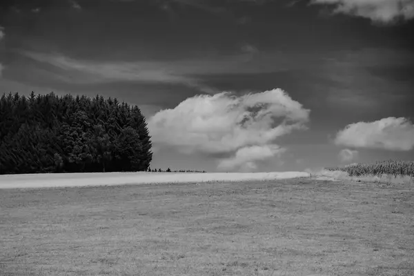 Vista Panorâmica Verão Campo Com Árvores Nuvens Céu — Fotografia de Stock