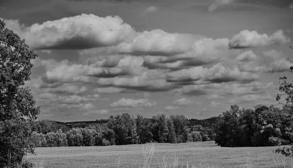 Vista Panorâmica Verão Campo Com Árvores Nuvens Céu — Fotografia de Stock