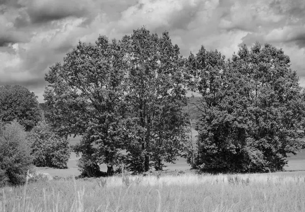 Γραφική Θέα Καλοκαίρι Από Την Ύπαιθρο Δέντρα Και Σύννεφα Στον — Φωτογραφία Αρχείου