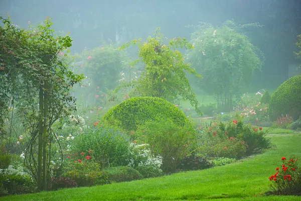 Nebel Und Kalter Nebliger Morgen Wäldern Natur — Stockfoto