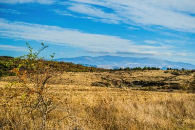 Sonbaharda güneşli bir gün, sarı turuncu, yeşil, kırmızı yapraklı ağaçlar