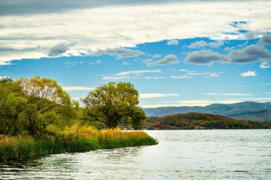 Sonbaharda güneşli bir gün, sarı turuncu, yeşil, kırmızı yapraklı ağaçlar