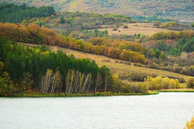 Sonbaharda güneşli bir gün, sarı turuncu, yeşil, kırmızı yapraklı ağaçlar