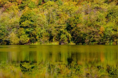 Sonbaharda güneşli bir gün, sarı turuncu, yeşil, kırmızı yapraklı ağaçlar