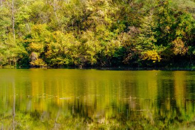 Sonbaharda güneşli bir gün, sarı turuncu, yeşil, kırmızı yapraklı ağaçlar