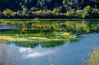 Sonbaharda güneşli bir gün, sarı turuncu, yeşil, kırmızı yapraklı ağaçlar