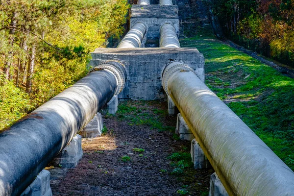 Hidrojen enerji boru hattı orman alanı doğru