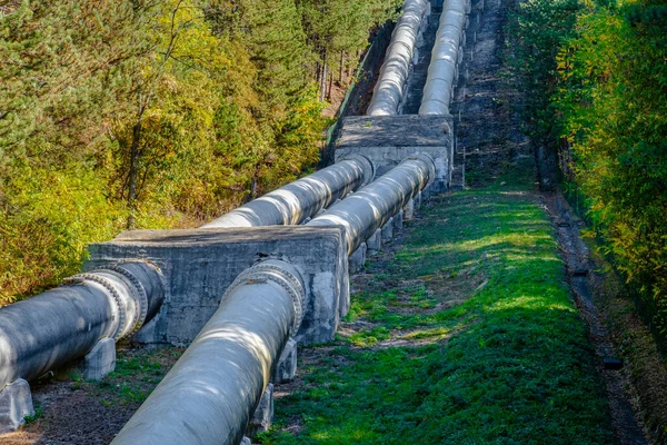 Hydro energy pipeline true the forest field