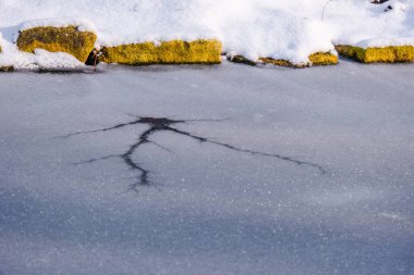 Park kışı, kar perisi kuyruğu, soğuk bir gün