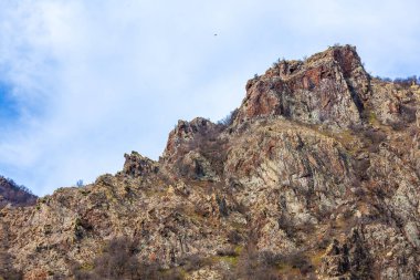 Bulgaristan 'daki Rodop dağlarının güzel manzarası