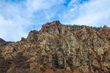 Bulgaristan 'ın Rodop dağlarında Arda nehrinin manzarası, doğa